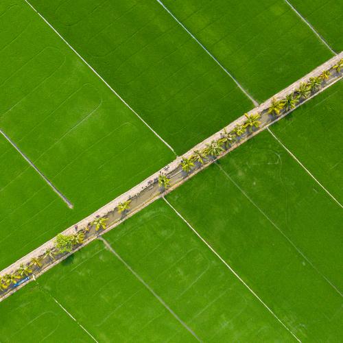 Photo #4060377