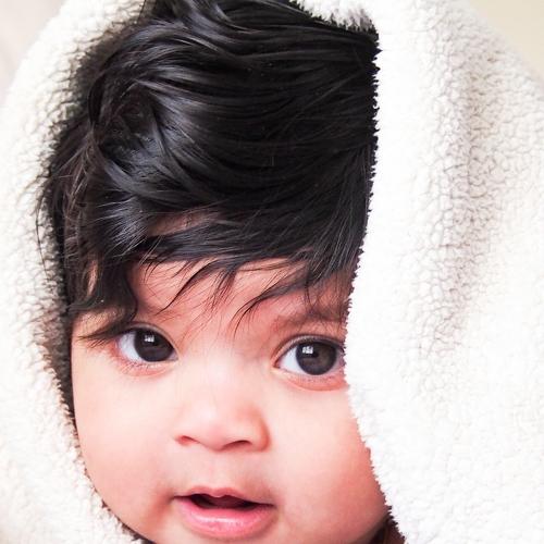 Photo #4060420