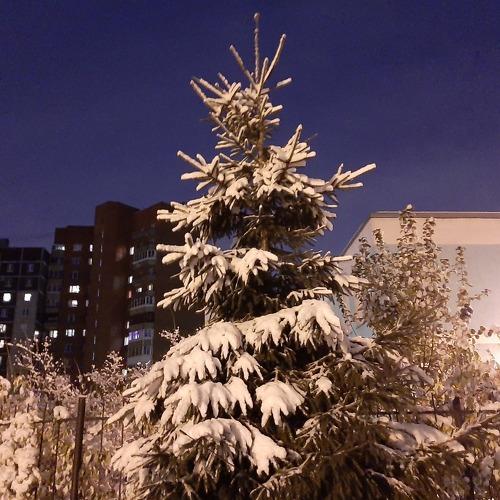 Photo #4060959