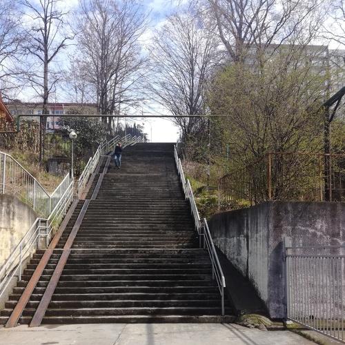 Photo #4060991