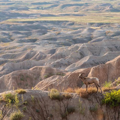 Photo #4061206