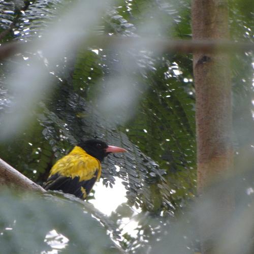 Photo #4061376
