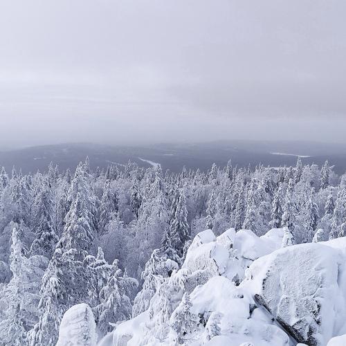 Photo #4061945
