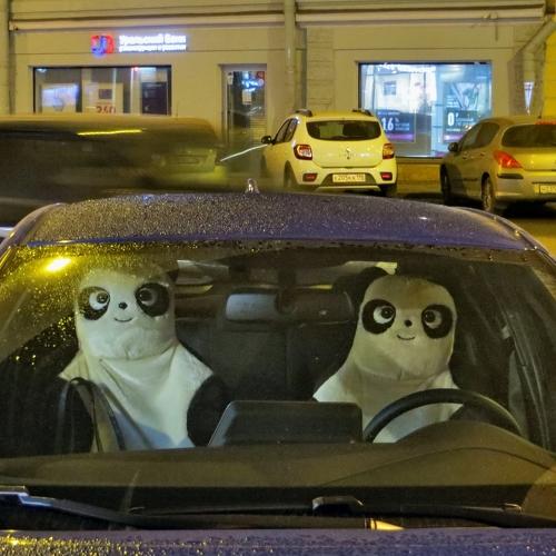 Photo #4062775
