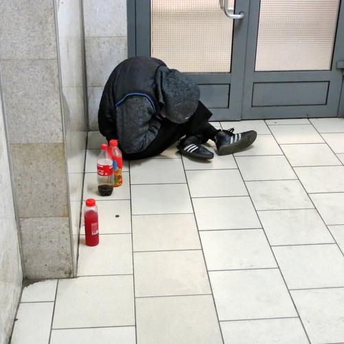 Photo #4062804