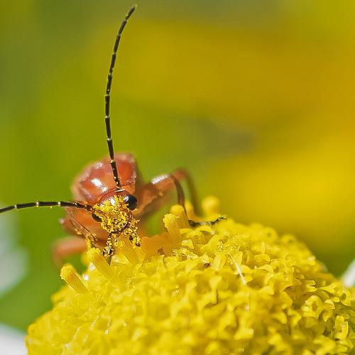 Photo #4062836