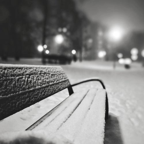 Photo #4062870