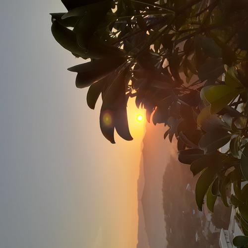 Photo #4063028