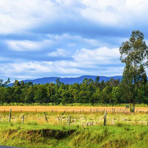 The Aberdare Ranges