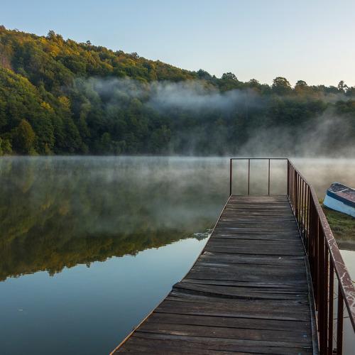 Photo #4064056