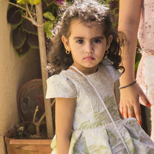 Photo #4064090