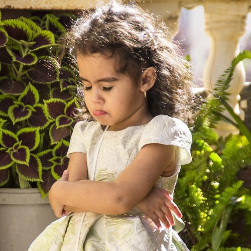 Photo #4064103