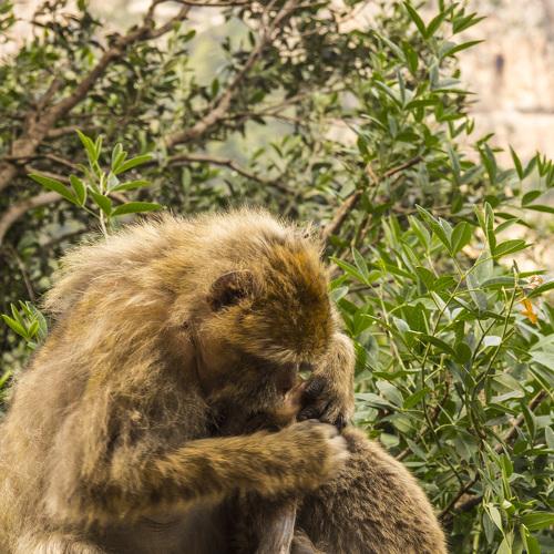 Photo #4064283