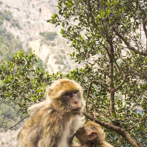 Photo #4064297