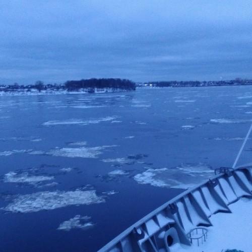 Photo #4064547