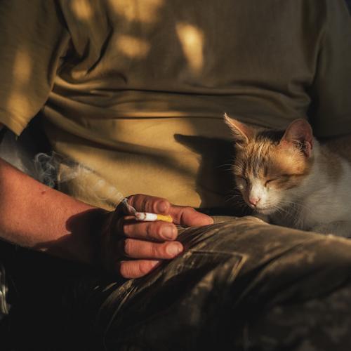 Photo #4064771