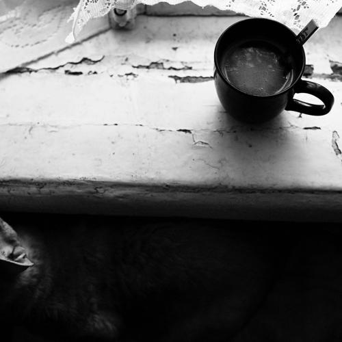 Photo #4064782