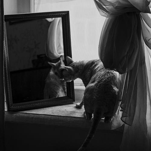 Photo #4064803