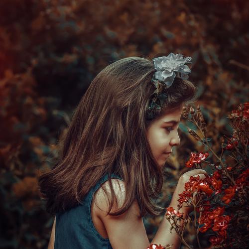 Photo #4064978