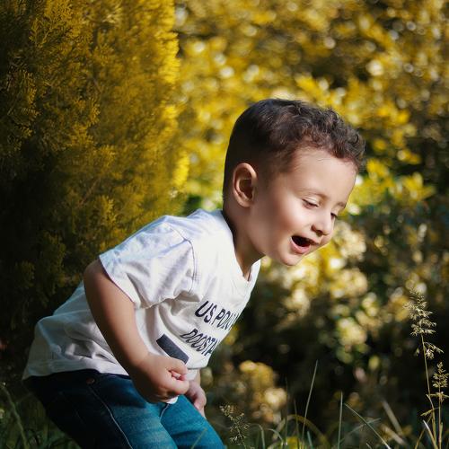 Photo #4064986