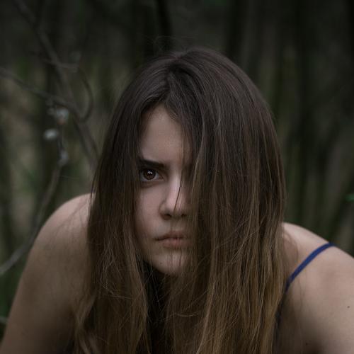 Photo #4064999