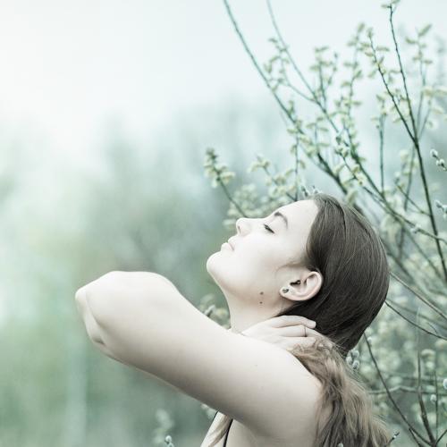Photo #4065002