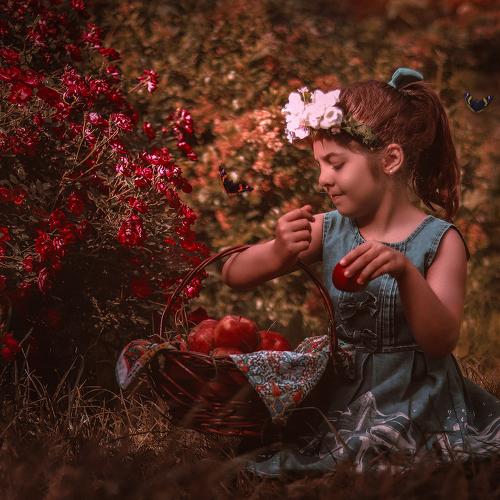 Photo #4065007