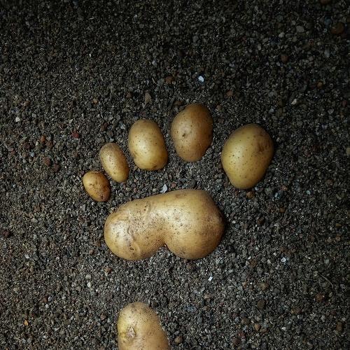 Photo #4065340