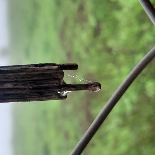 Photo #4065424