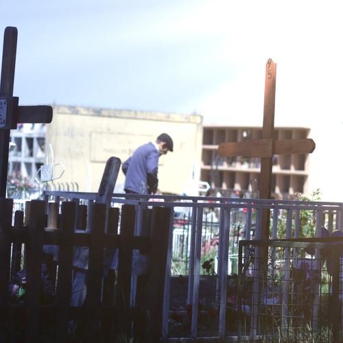 Photo #4065488