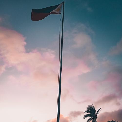 Photo #4065691