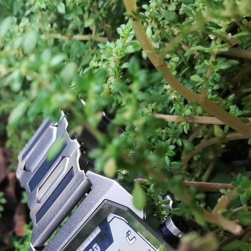Fastrack Watch Loves Nature - Preton Felix Android Photoshot