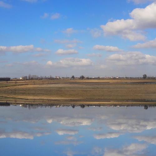 Photo #4065990