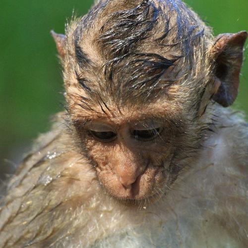 Photo #4066139