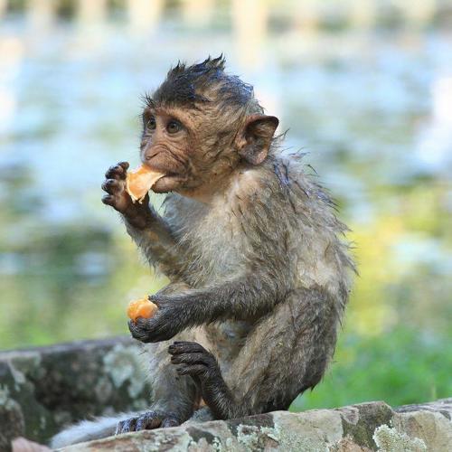 Photo #4066140