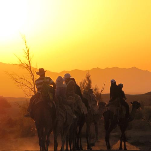 Desert