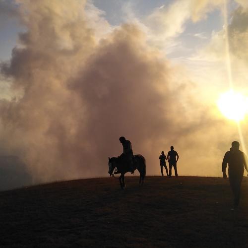 Photo #4066478