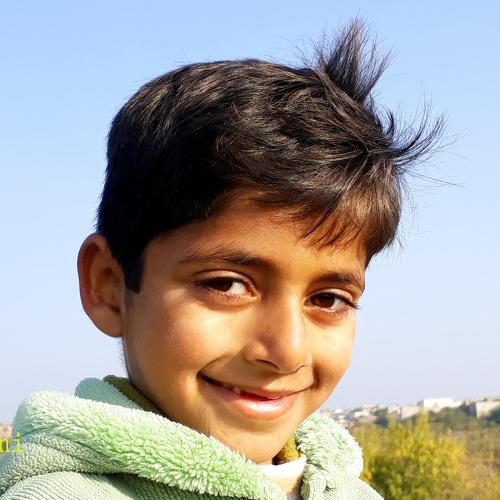 Photo #4066506