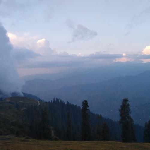 Photo #4066525