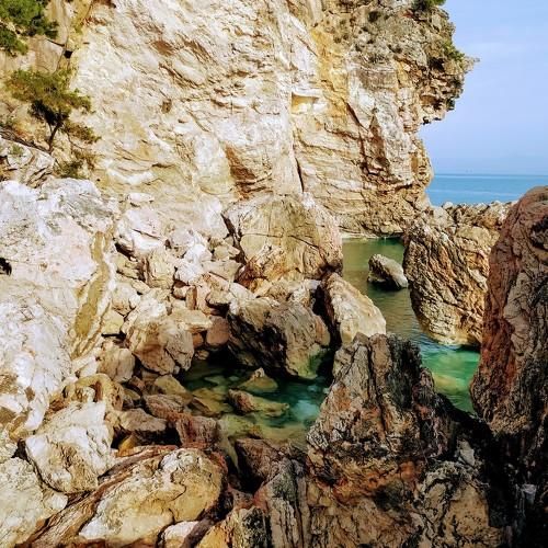 Photo #4066559
