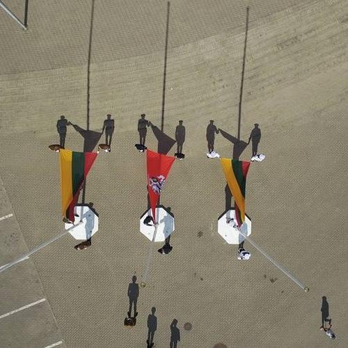 Photo #4066571