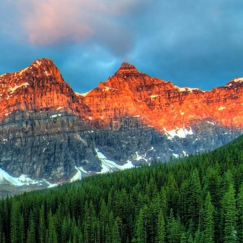 Photo #4066590
