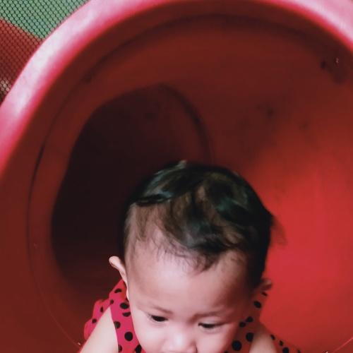 Photo #4066645
