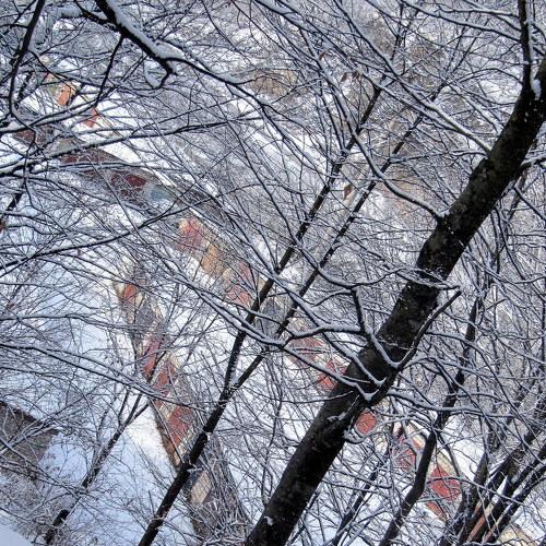Photo #4066684