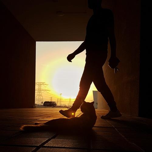 Photo #4066727