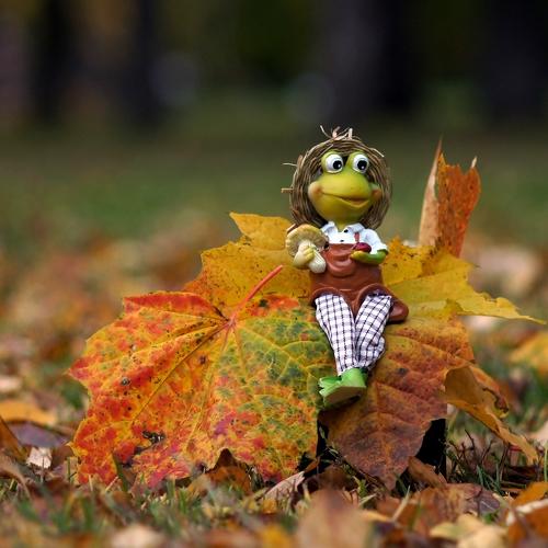 Photo #4066783