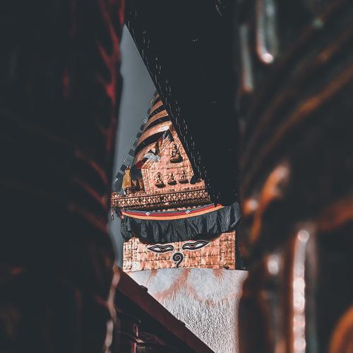 Photo #4066925