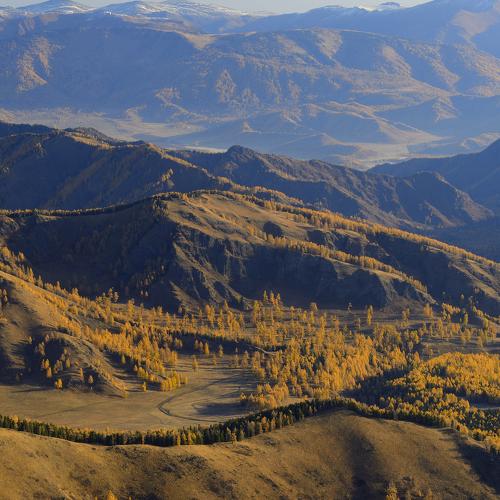 Осеннее утро