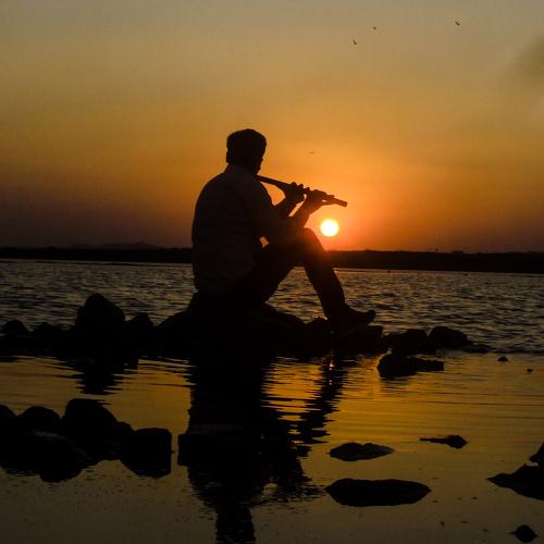 Photo #4067519