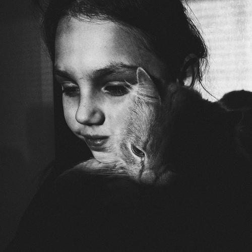 Photo #4067745